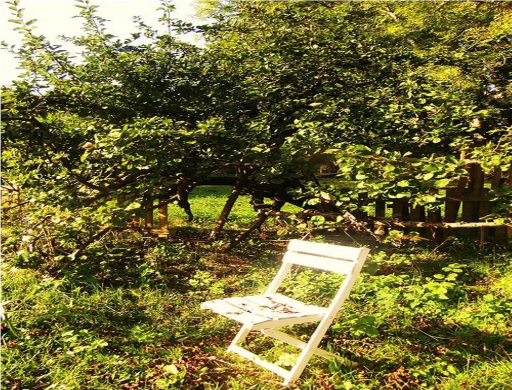 Le Moulin Fleuri Du Petit Appeville Екстер'єр фото