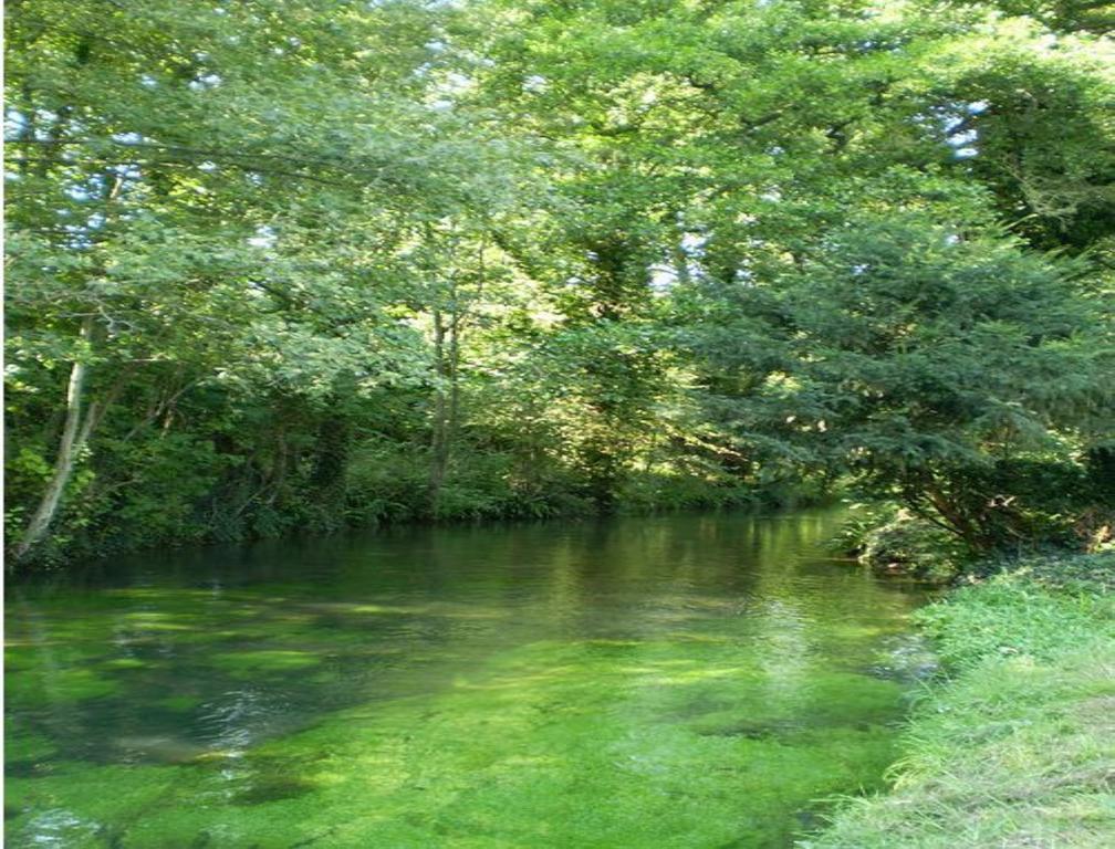 Le Moulin Fleuri Du Petit Appeville Екстер'єр фото